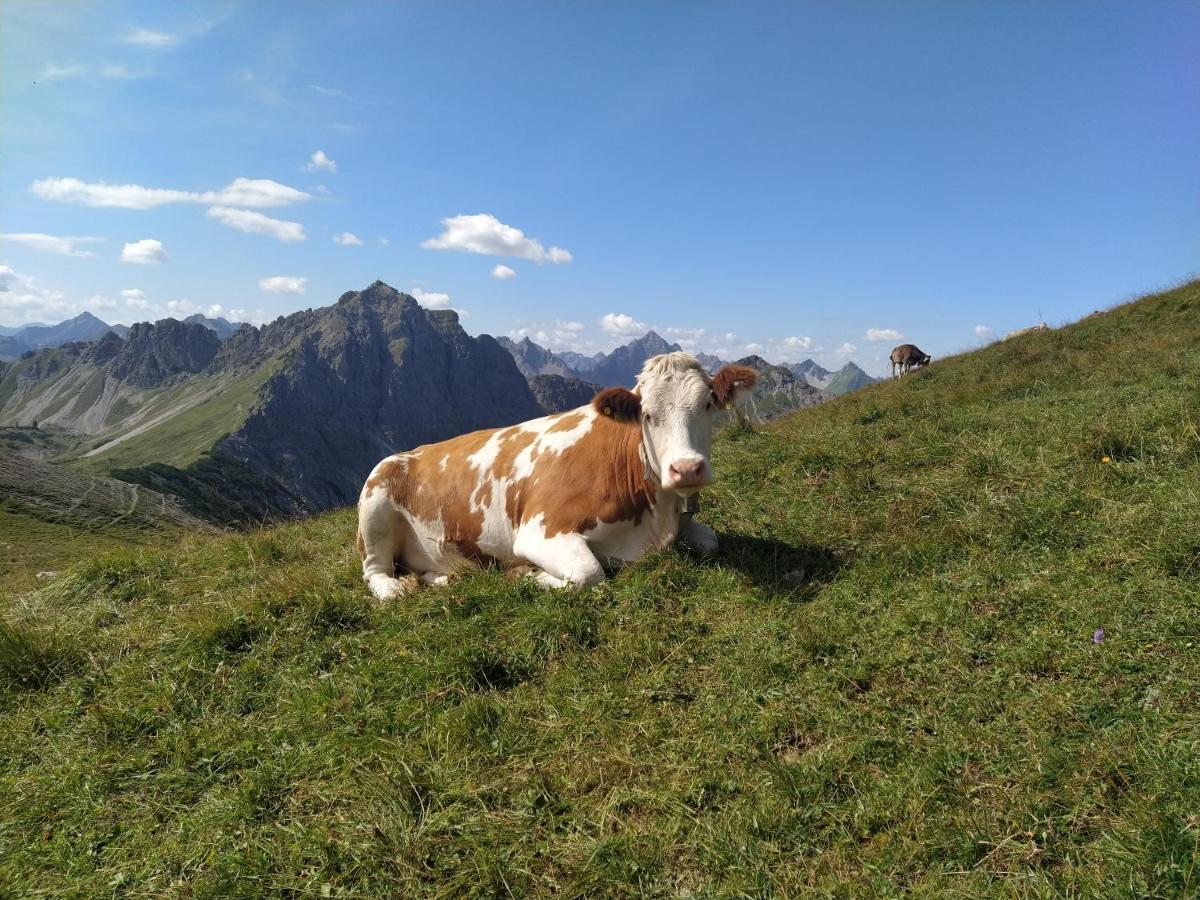 Appartement Zum Bartelt *